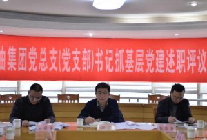 集團(tuán)召開(kāi)2016年度黨總支（黨支部）書(shū)記抓基層黨建述職評(píng)議考核大會(huì)