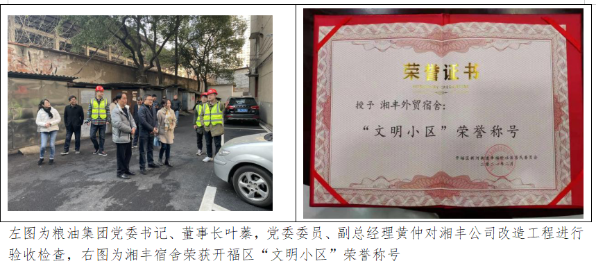 【建企70年專欄】征文活動⑨： 糧油人，我引以為傲的“標簽”       ——寫在糧油集團成立70周年之際