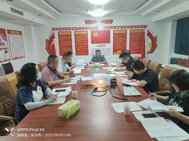 湖南糧油進(jìn)出口集團(tuán)黨委書記、董事長(zhǎng)葉蓁以普通黨員身份參加所在黨支部主題教育專題組織生活會(huì)